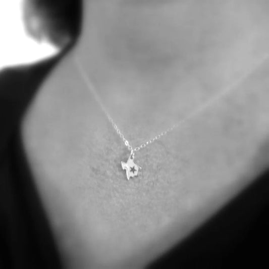 Texas Star State Necklace