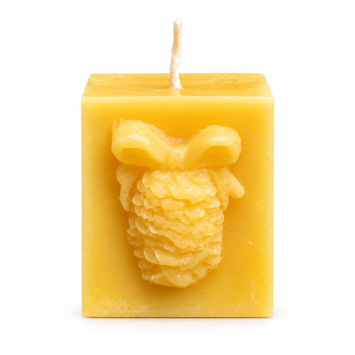 Pinecone Square Gift Beeswax Candle