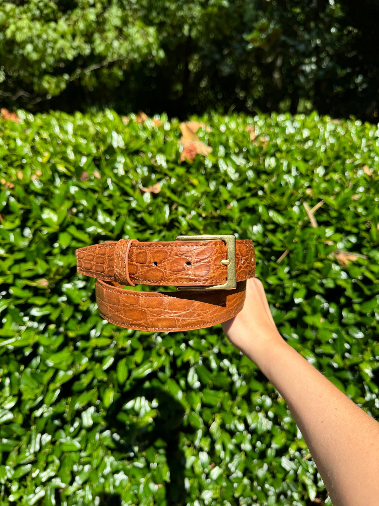 Full Skin Belt, Sienna