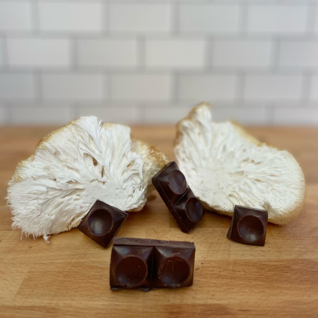 Forest Blend™ Ceremonial Cacao Paste with 6 Functional Mushrooms