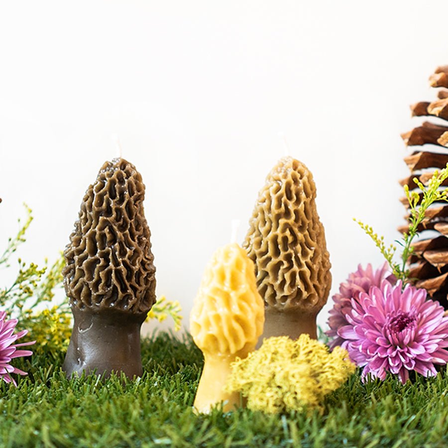 Morel Mushroom Beeswax Candle — Set of 2