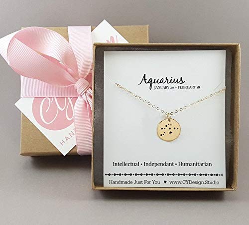 Pisces Zodiac Necklace – Sterling Silver Constellation Pendant on 18” Chain, Astrology Jewelry Gift