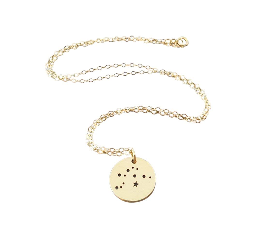 Pisces Zodiac Necklace – Sterling Silver Constellation Pendant on 18” Chain, Astrology Jewelry Gift