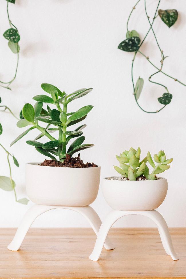 Ceramic Raised Plant Pot