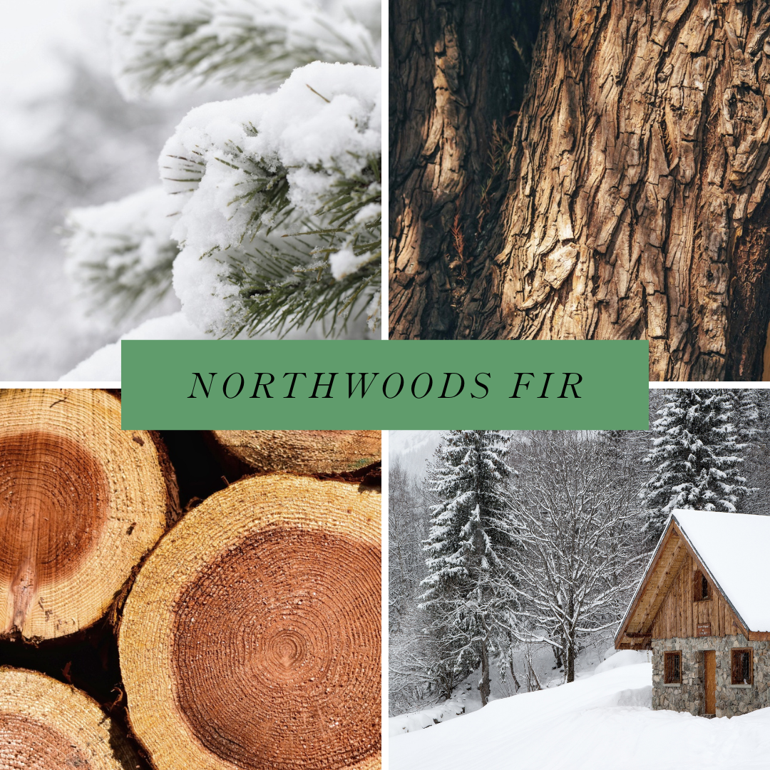 Northwoods Fir scented candle