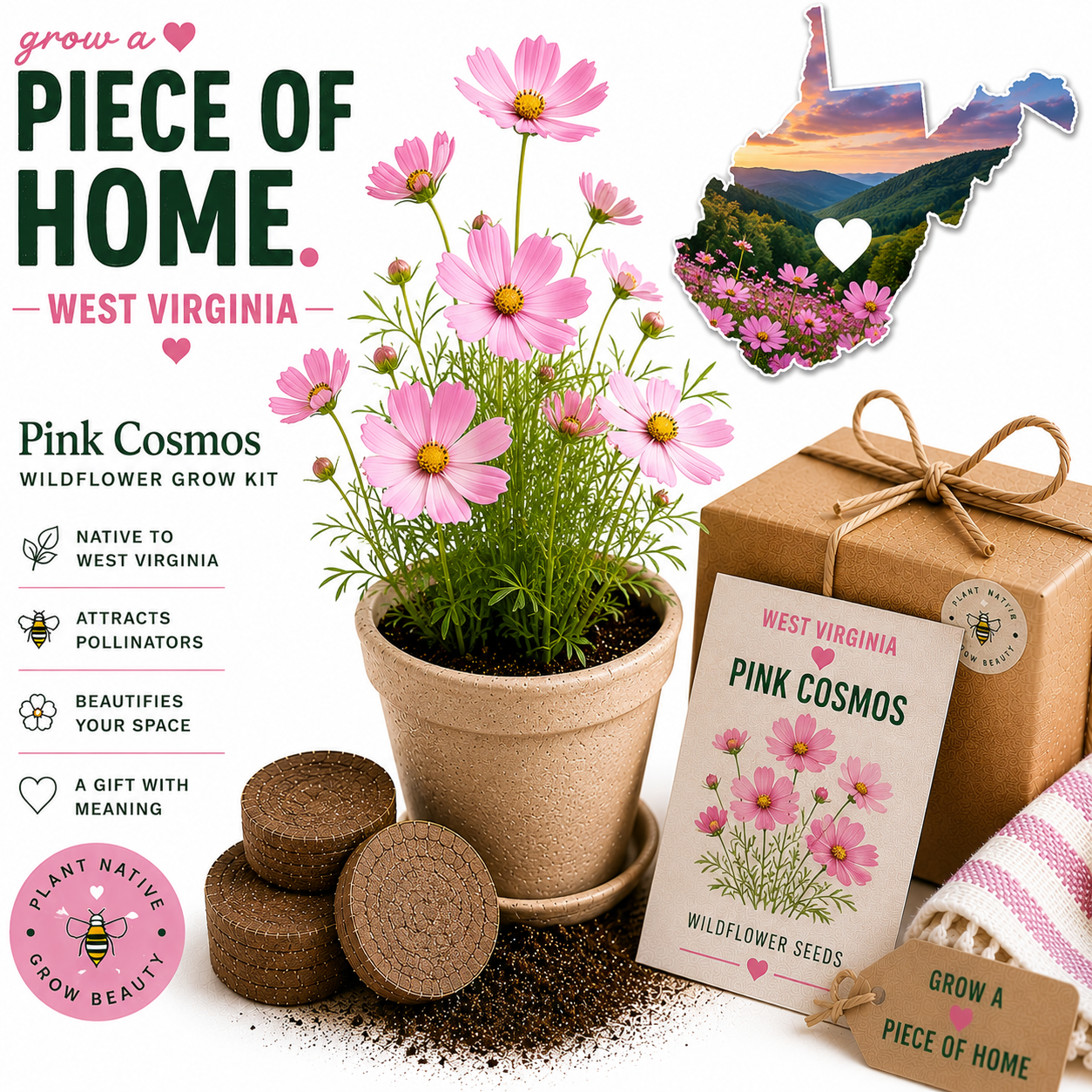 West Virginia Pink Cosmos Wildflower Grow Kit