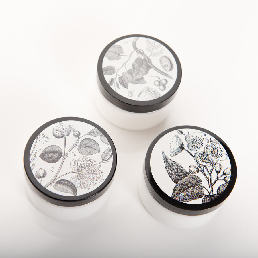 Aloe Leaf & Mint - Shea Butter Hand & Body Creme