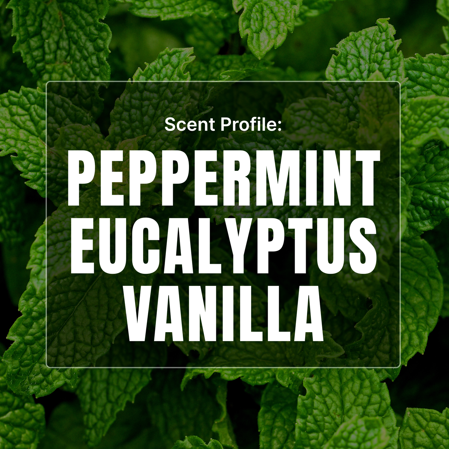 Arctic Chill Beard Balm - Mint, Eucalyptus, Vanilla