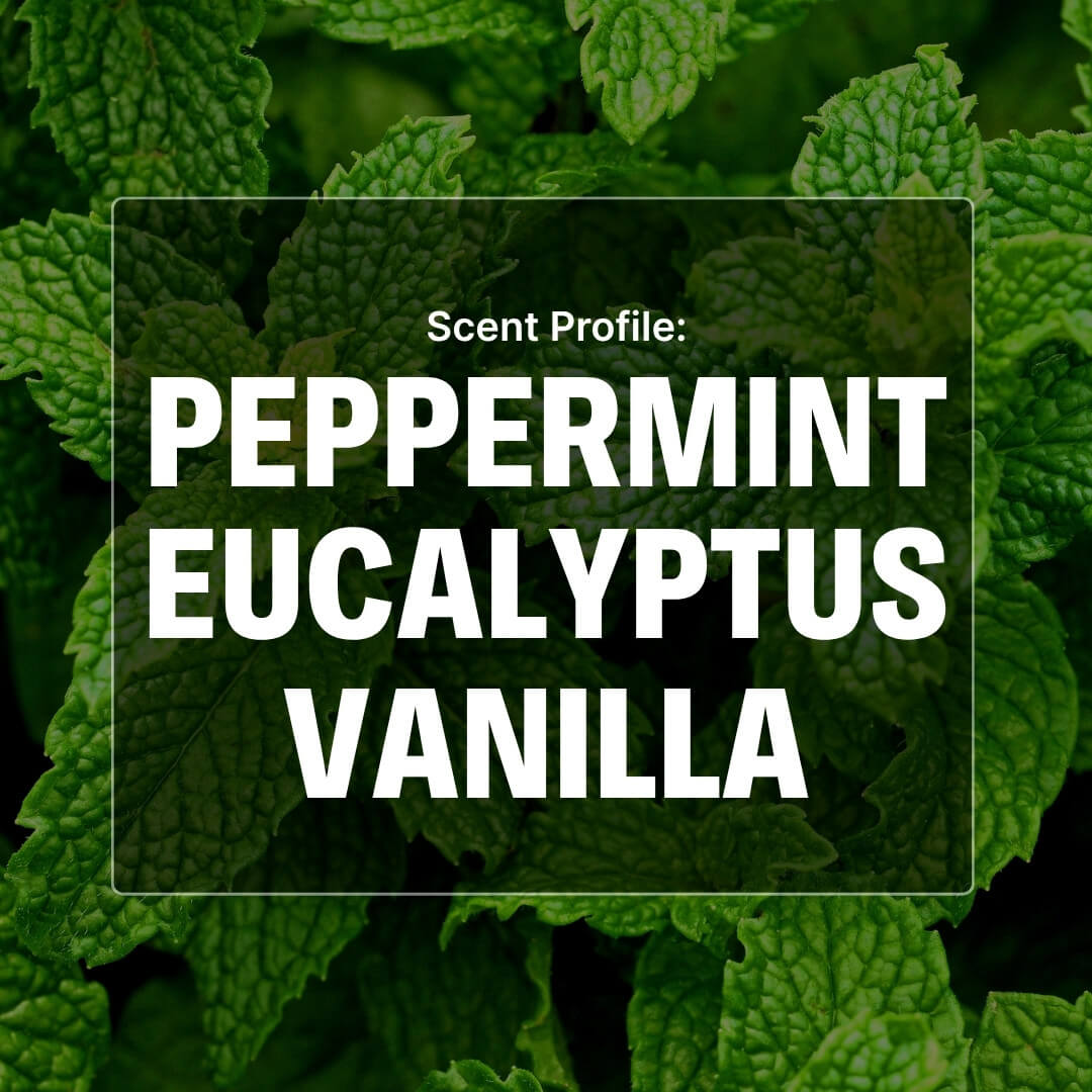 Arctic Chill Beard Butter - Mint, Eucalyptus, Vanilla
