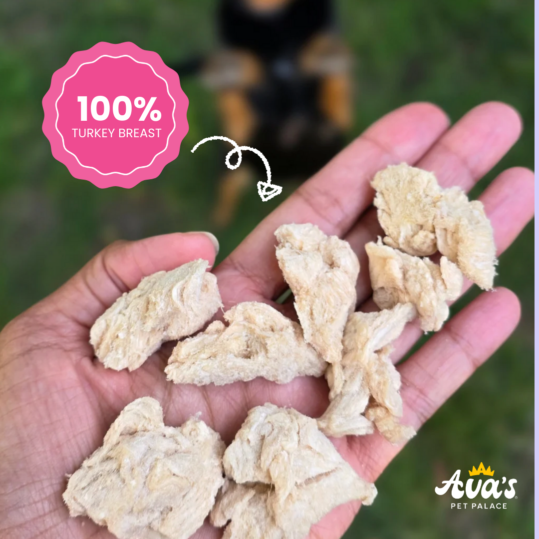 Freeze Dried Turkey Breast - T-Day Bites