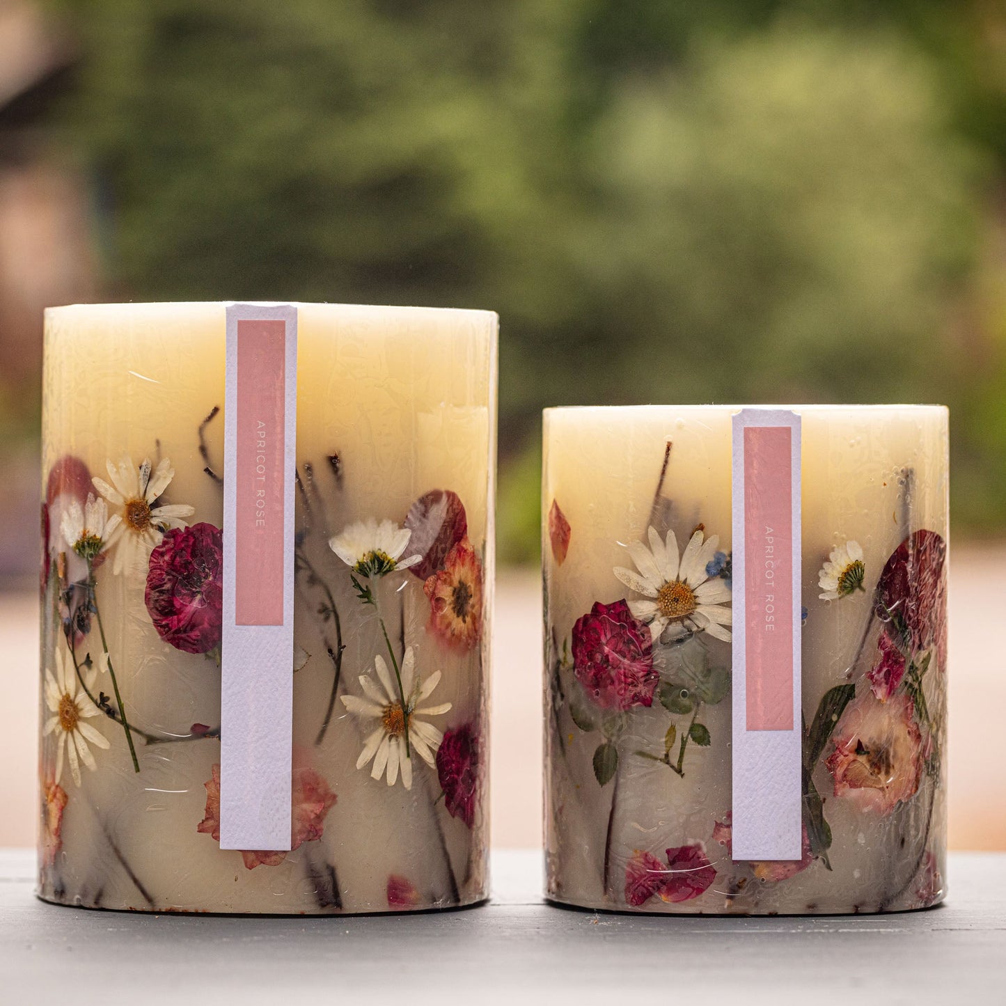 Accent Botanical Candle - Apricot Rose