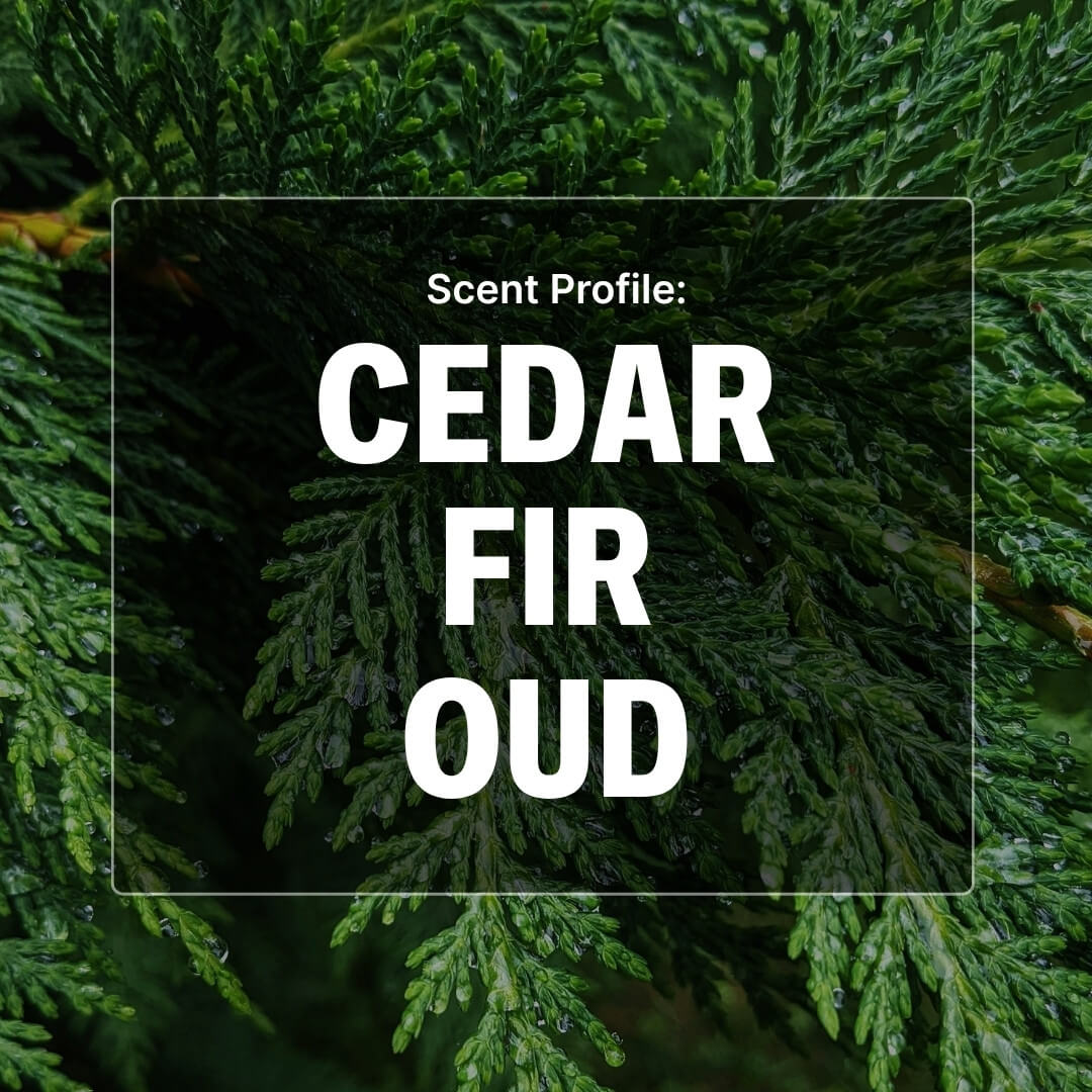 Cedar Crest Beard Butter - Cedar, Fir, Oud