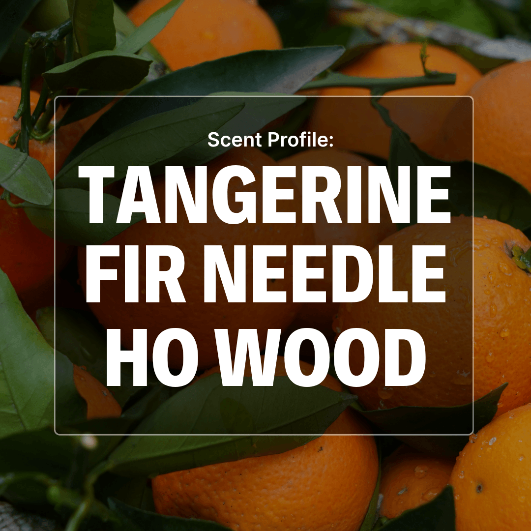Citrus Hollow Beard Butter - Tangerine, Fir, Ho Wood