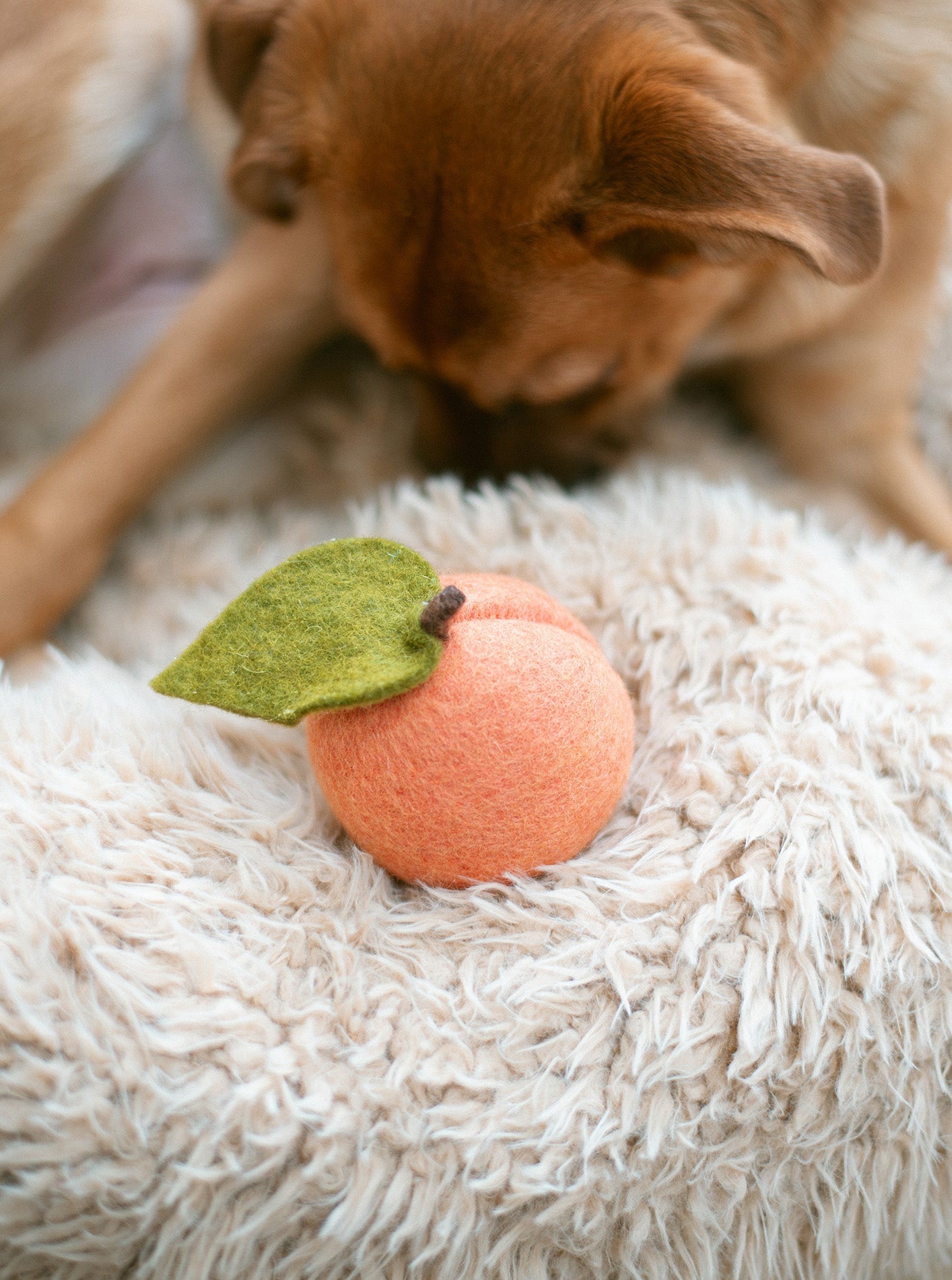 PEACH WOOL DOG & CAT TOY