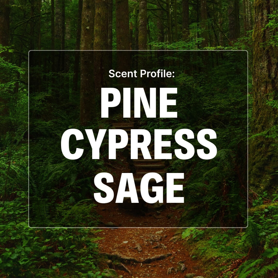 Evergreen Woods Beard Butter - Pine, Cypress, Sage