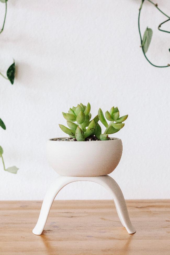 Ceramic Raised Plant Pot
