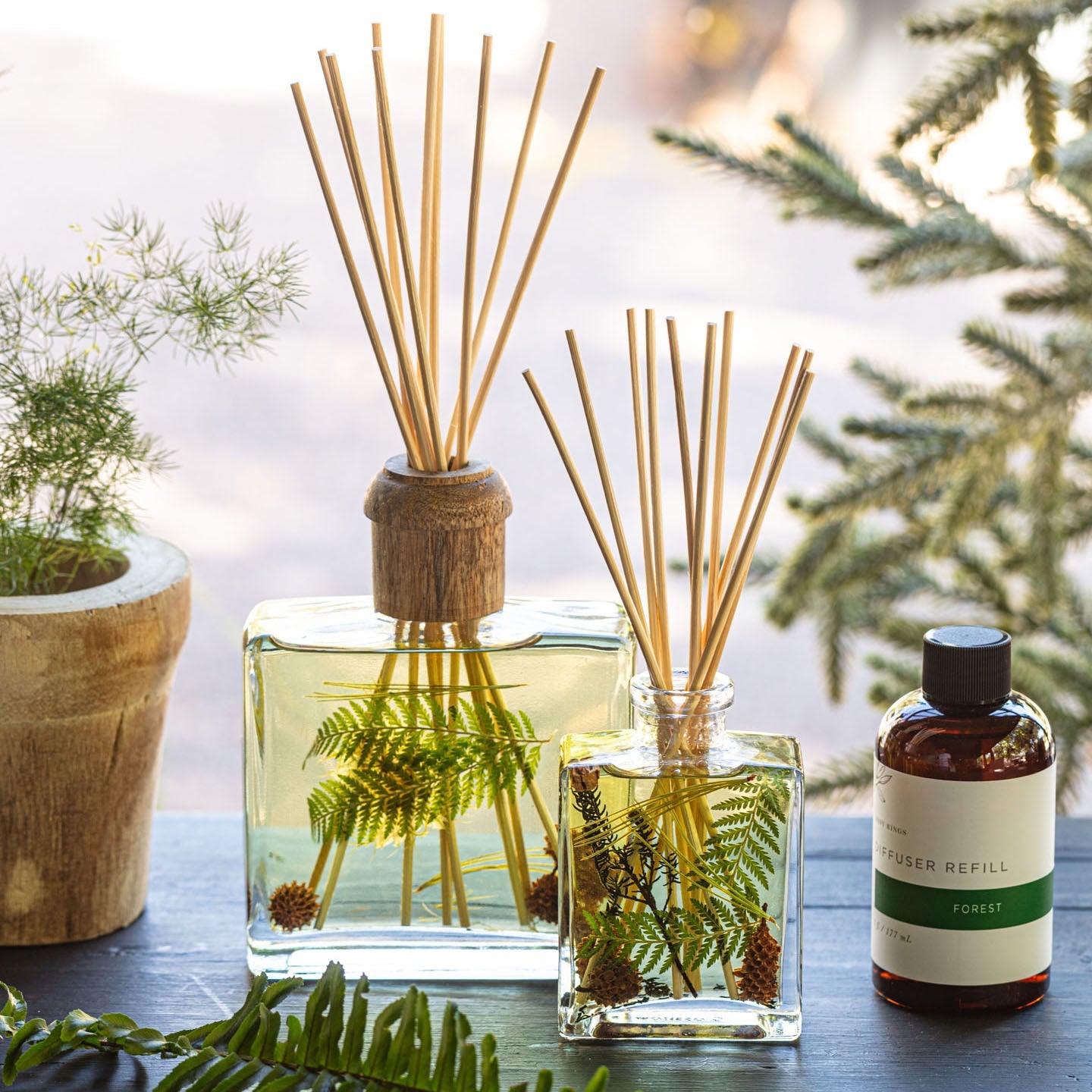 Accent Botanical Reed Diffuser - Forest