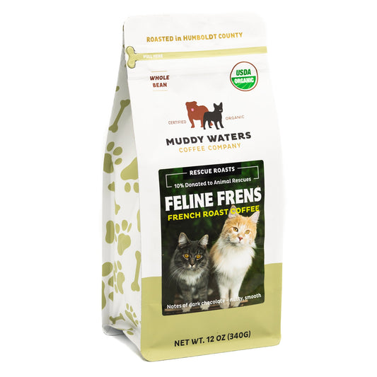 Feline Frens