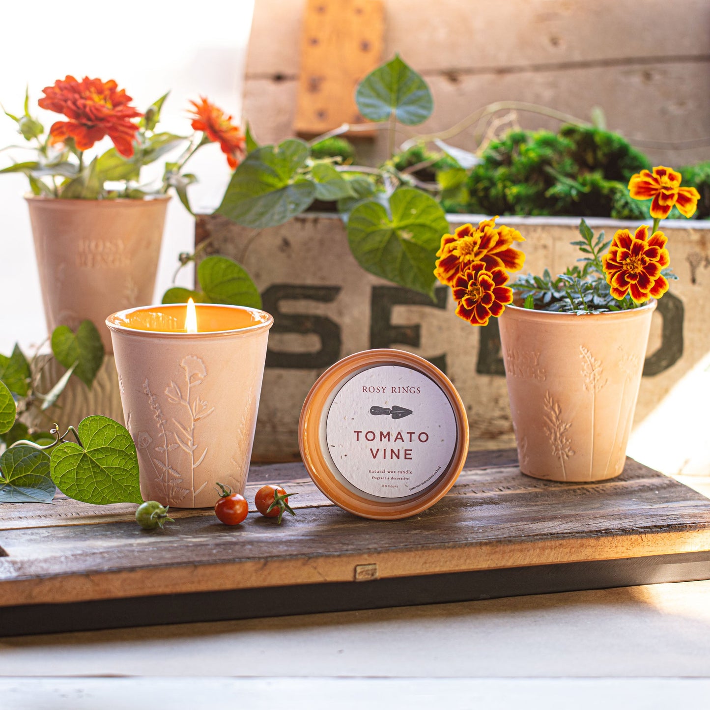 Tomato Vine Garden Pot Candle + Plantable Seed Paper Dust Covers