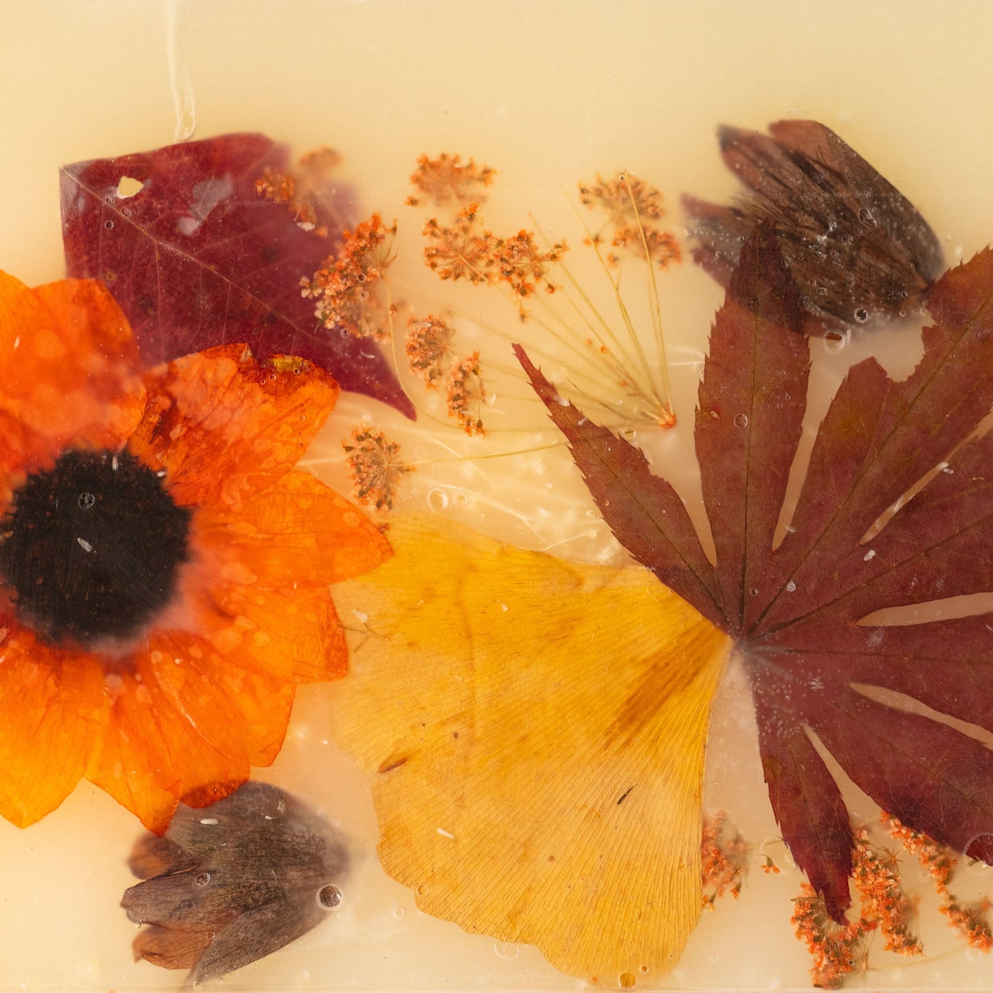 Signature Pressed Floral Candle - Harvest Pumpkin