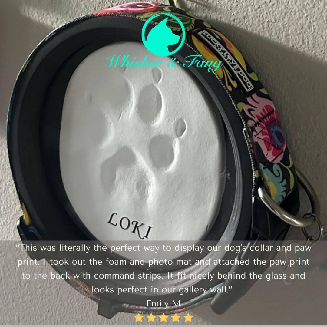 Medium Dog Collar Frame | "The Beagle" Resin