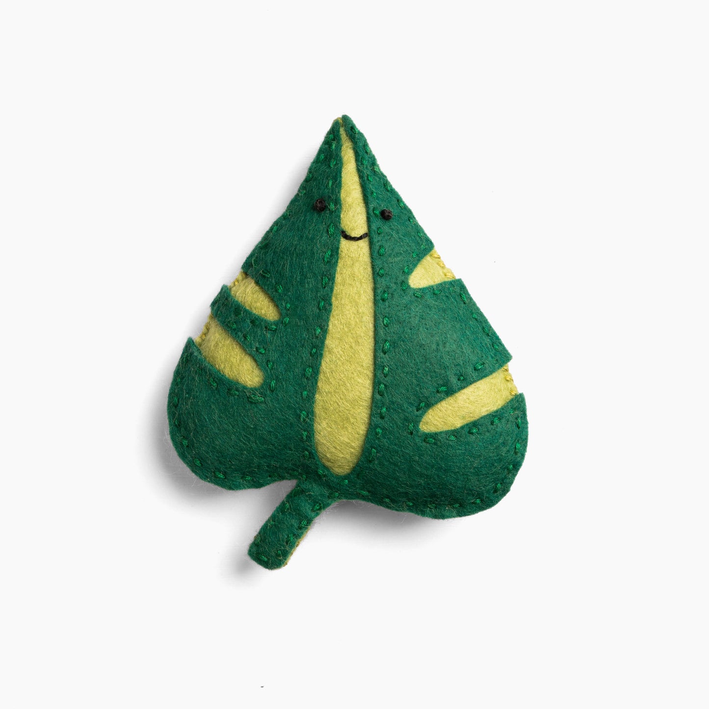 Stasya the Resilient Monstera