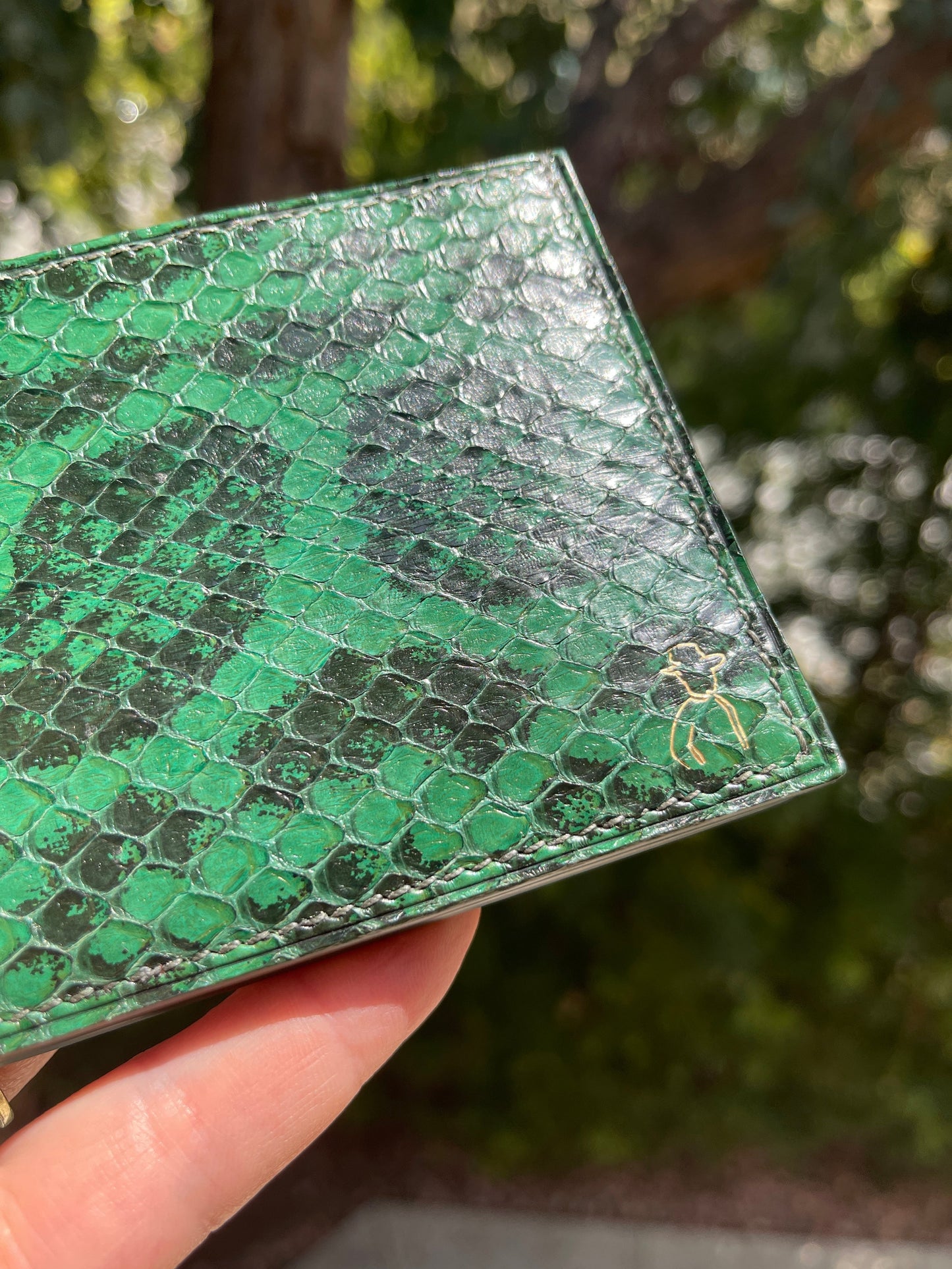 Snake Skin Wallet - Genuine Anaconda Leather