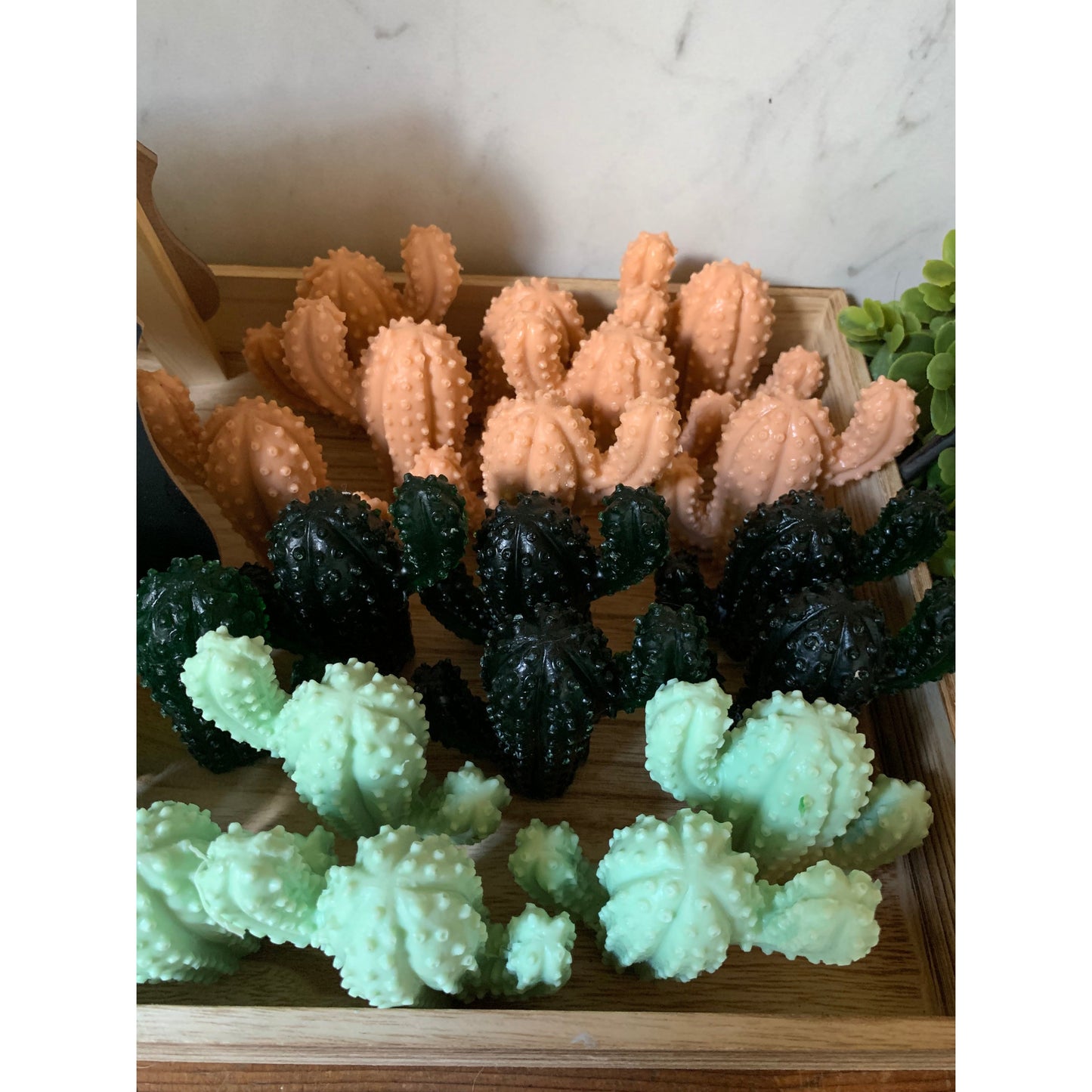 Cactus Soap