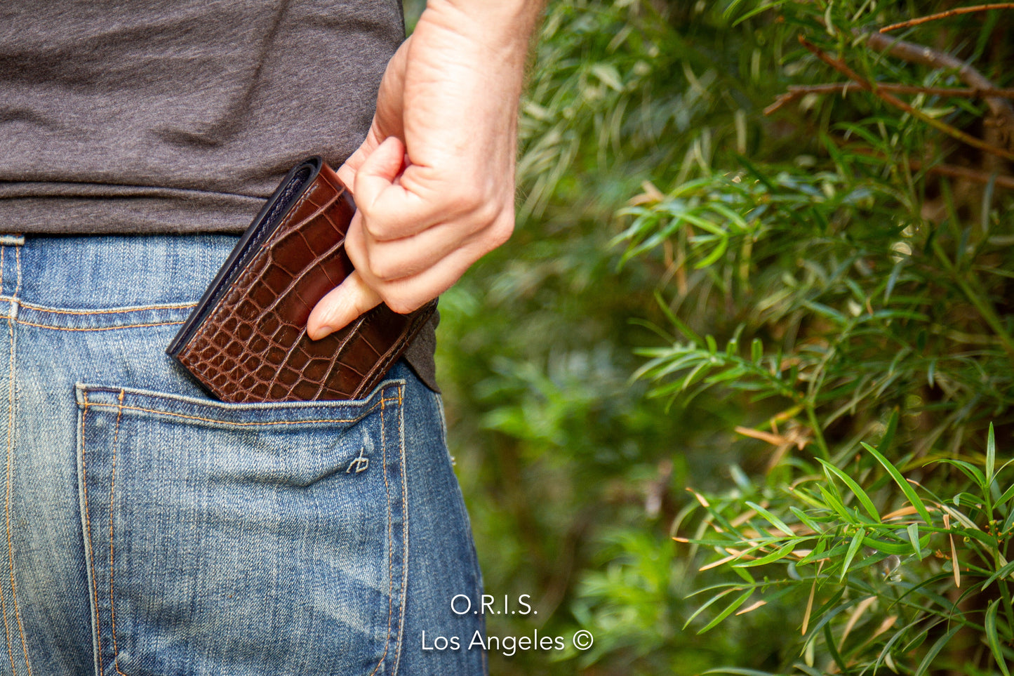 American Alligator Bifold Wallet - Chocolate Brown
