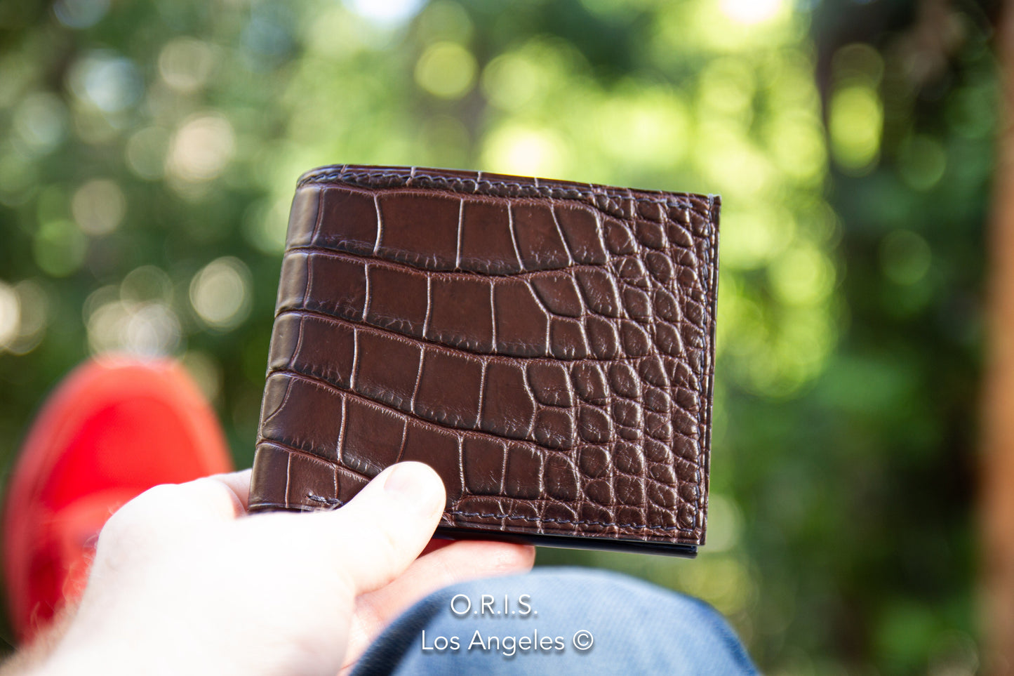 American Alligator Bifold Wallet - Chocolate Brown
