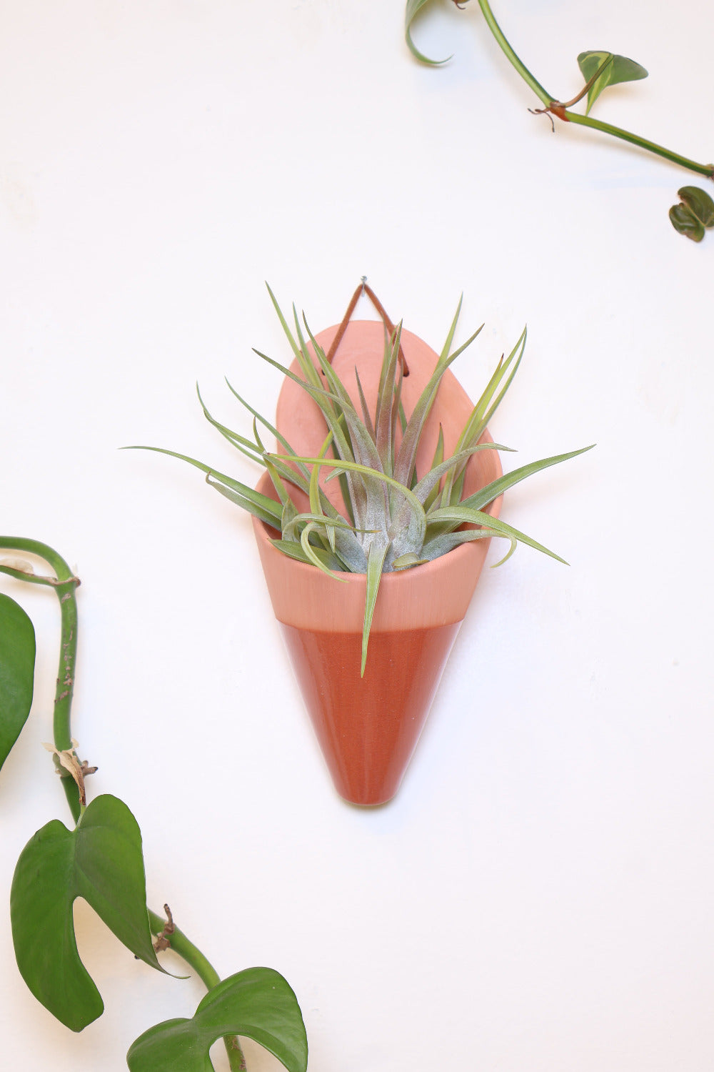 Large Ceramic Wall Planter