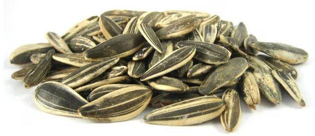 In Shell Roasted No Salt Sunflower