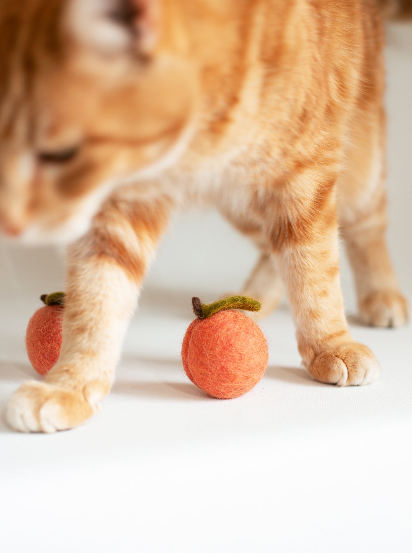 PEACH WOOL DOG & CAT TOY