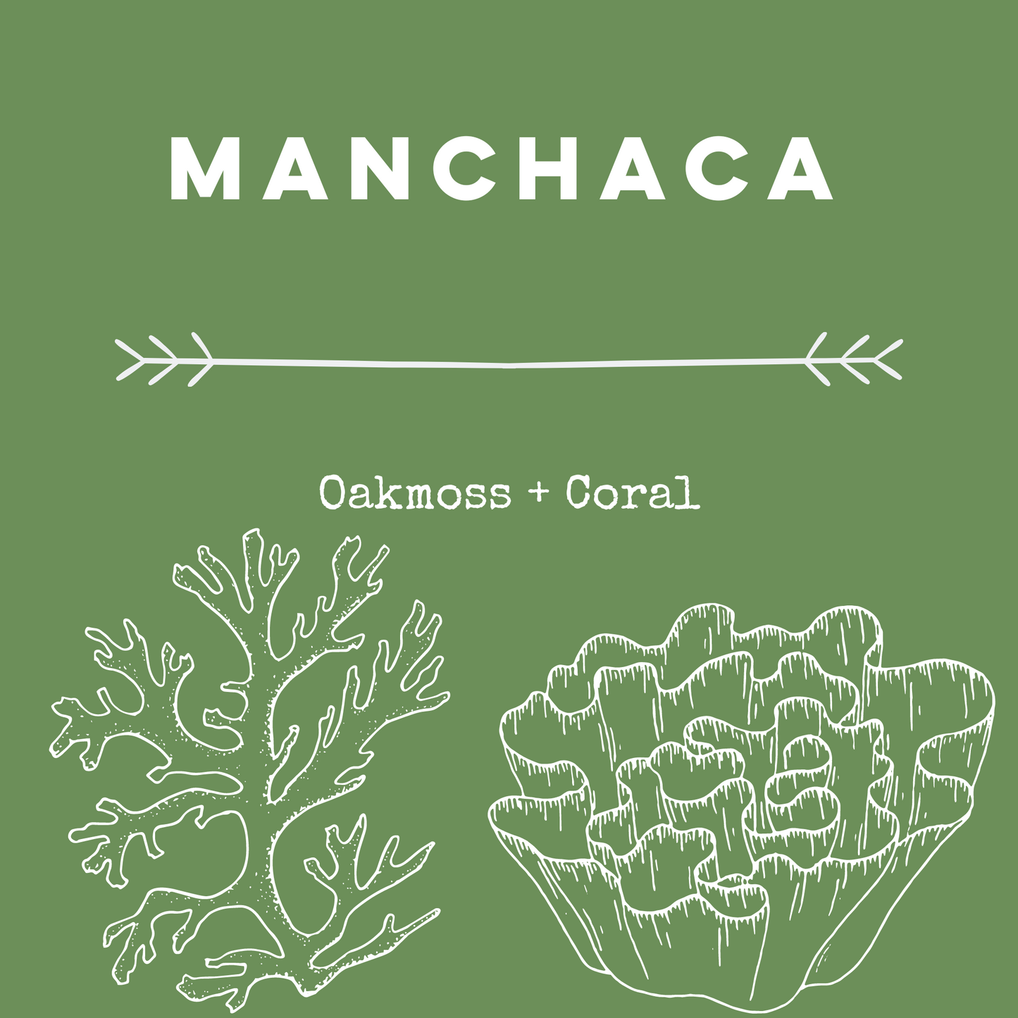Manchaca [Oakmoss + Coral] Soy Candle