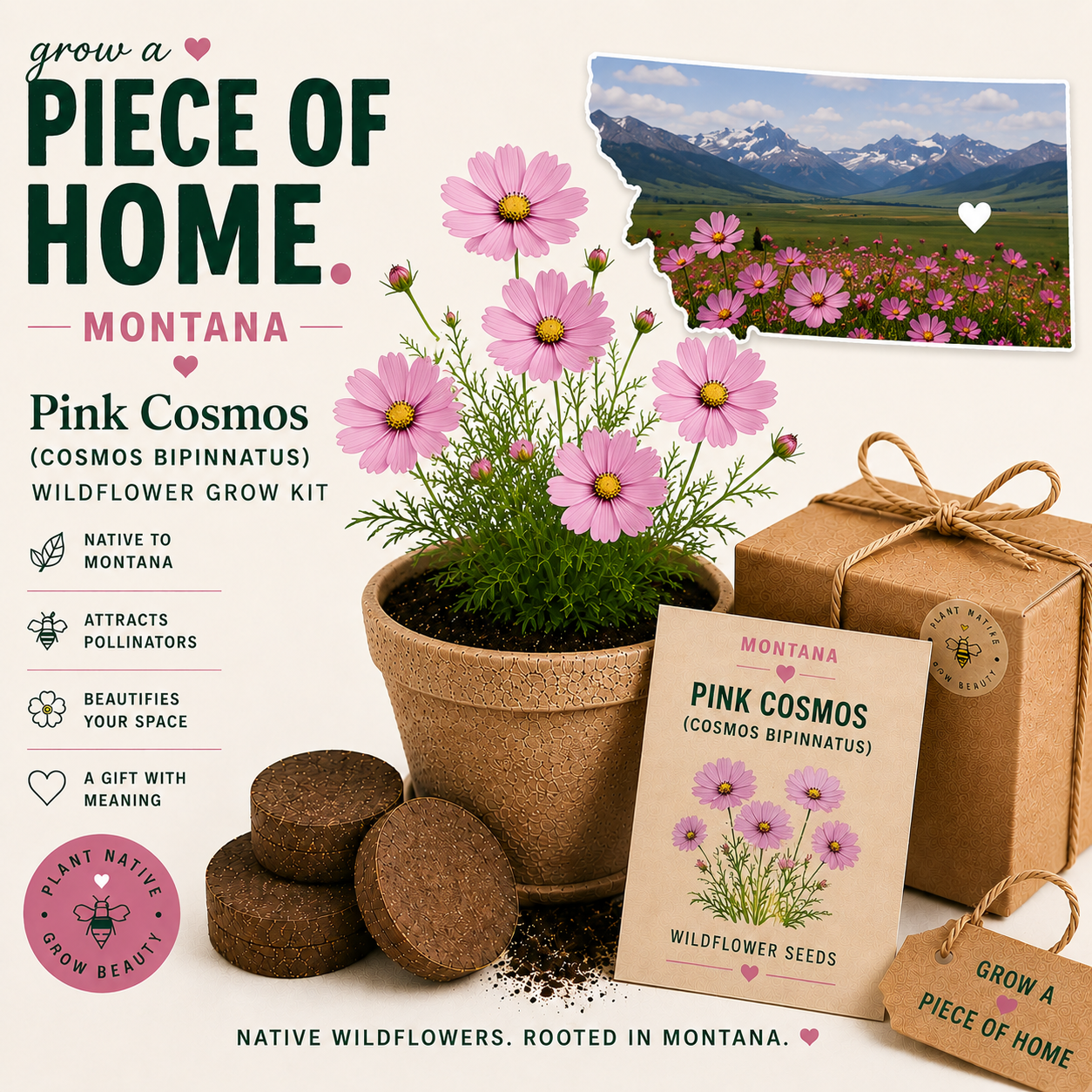 Montana Pink Cosmos Grow Kit