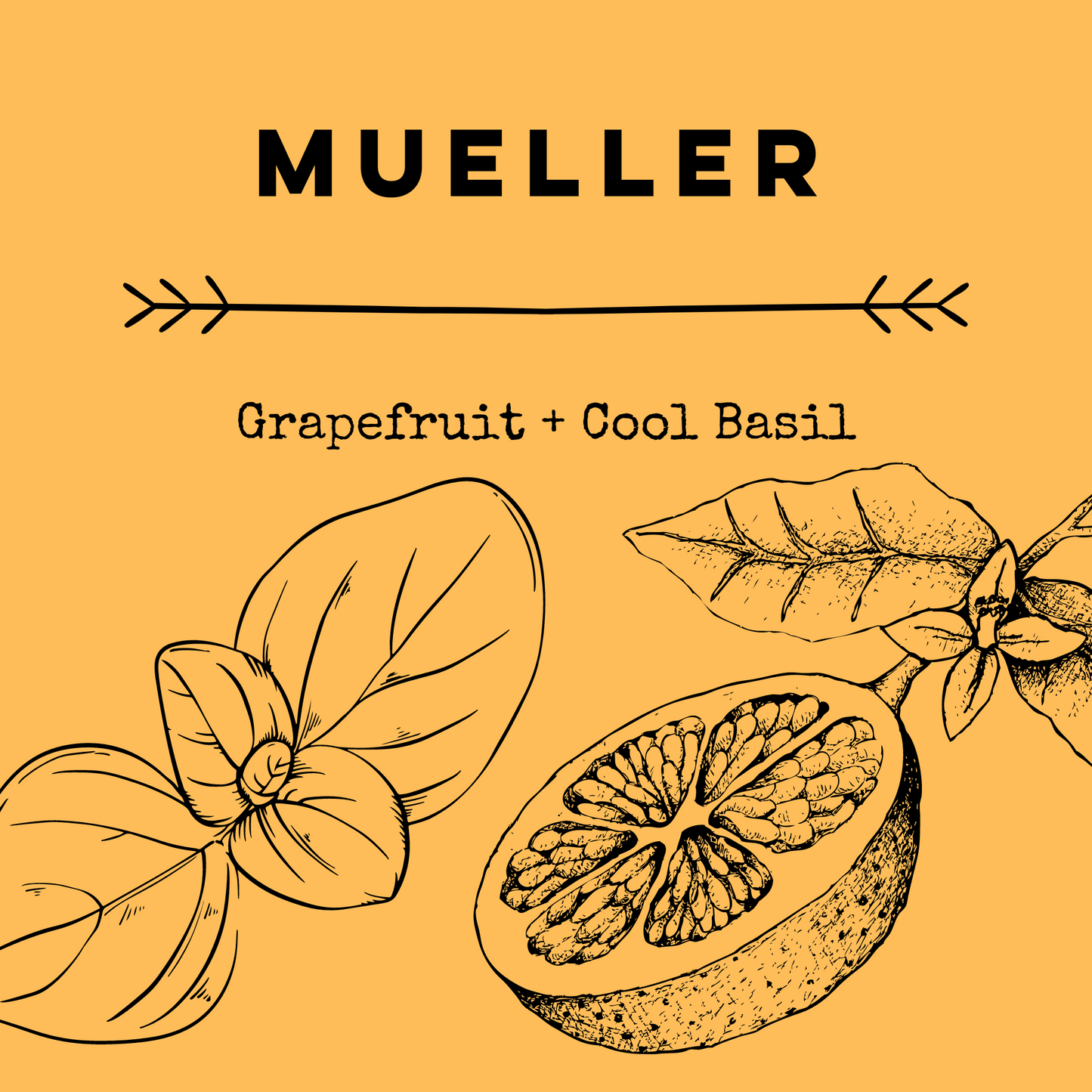Mueller [Grapefruit + Cool Basil] Soy Candle