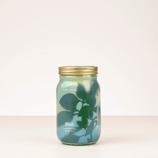 Garden Jars - Organic Herbs