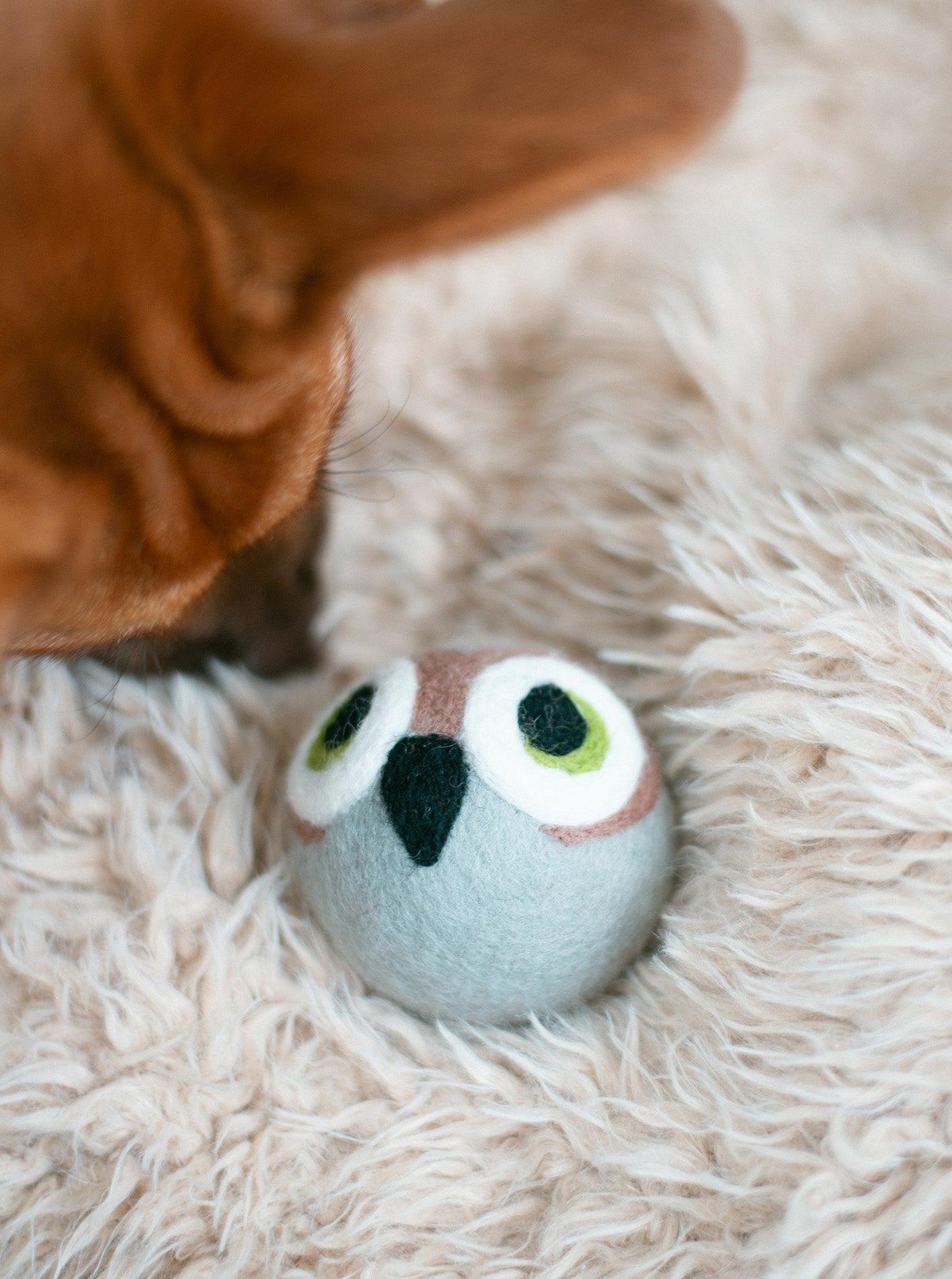 WISE OLD OWL BEASTBALL DOG TOY