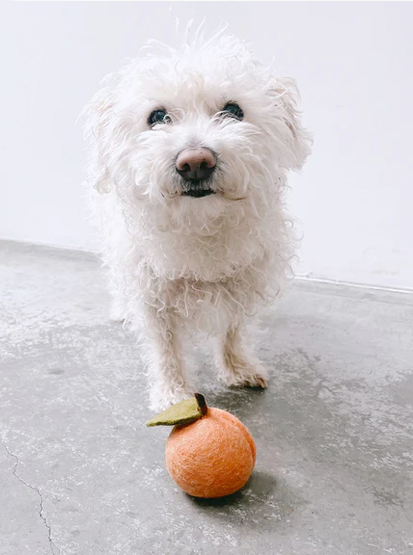 PEACH WOOL DOG & CAT TOY