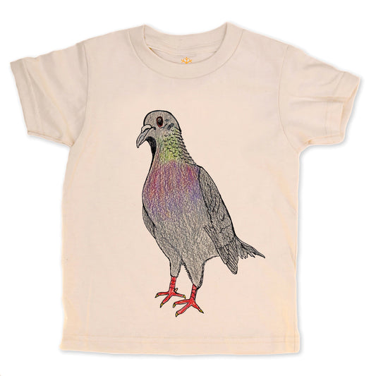 Pigeon