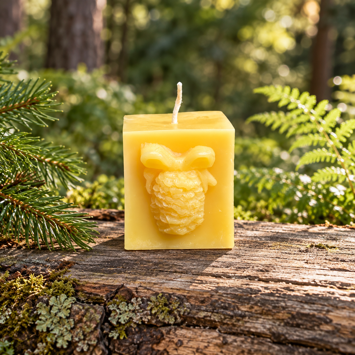 Pinecone Square Gift Beeswax Candle