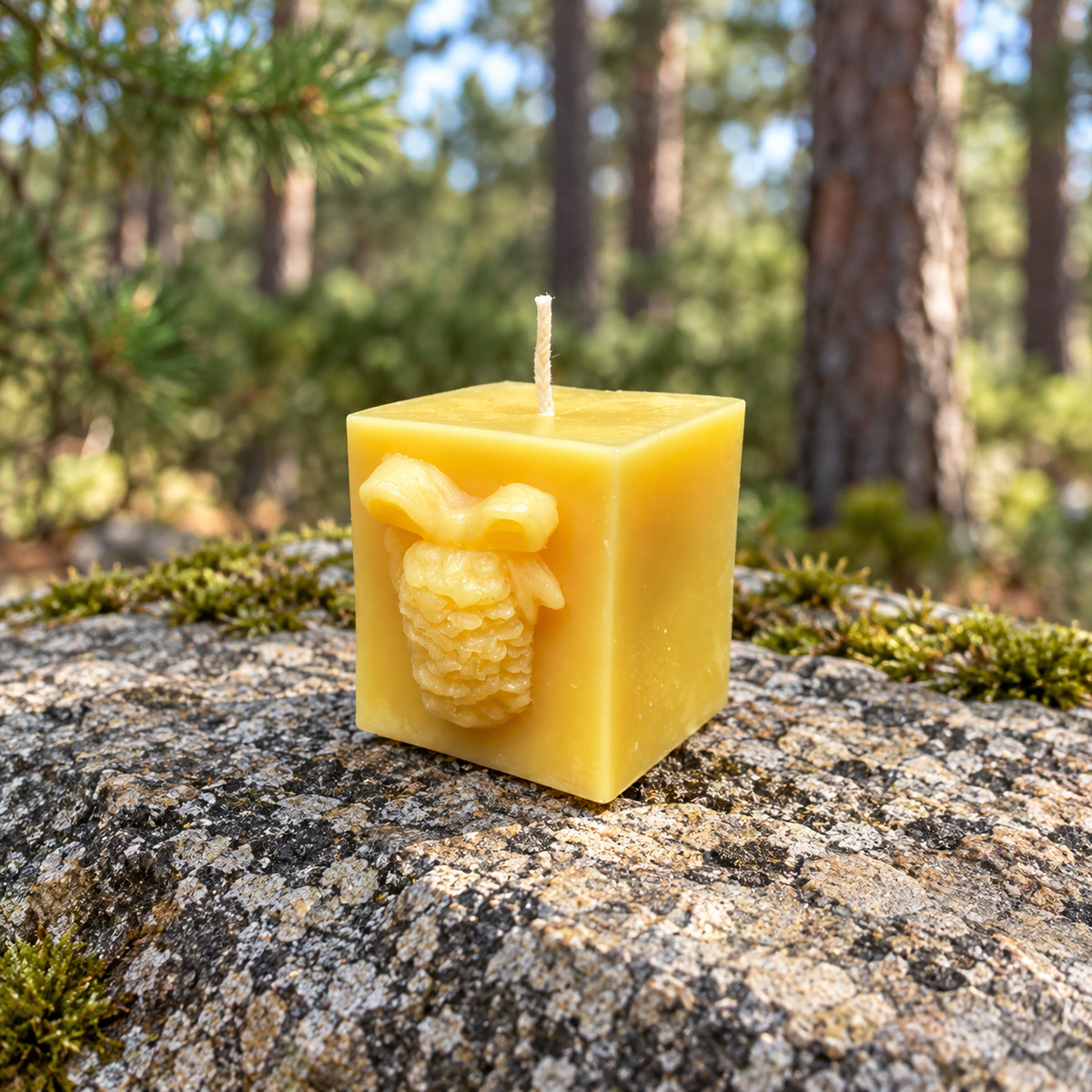 Pinecone Square Gift Beeswax Candle