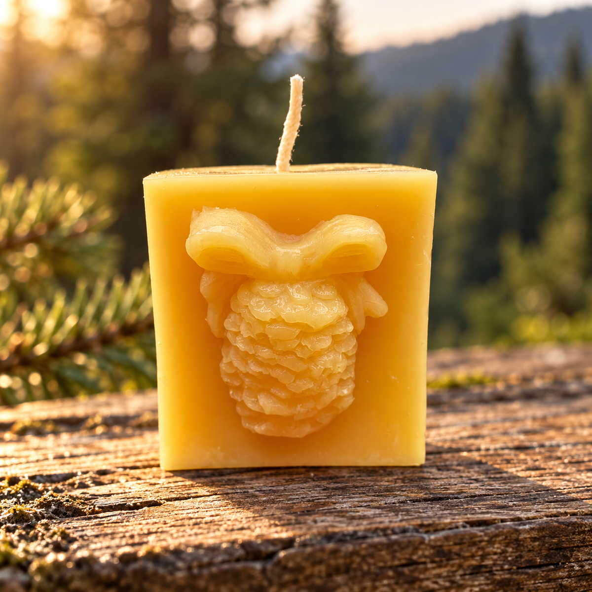 Pinecone Square Gift Beeswax Candle