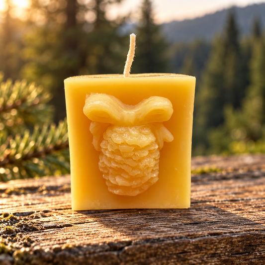 Pinecone Square Gift Beeswax Candle