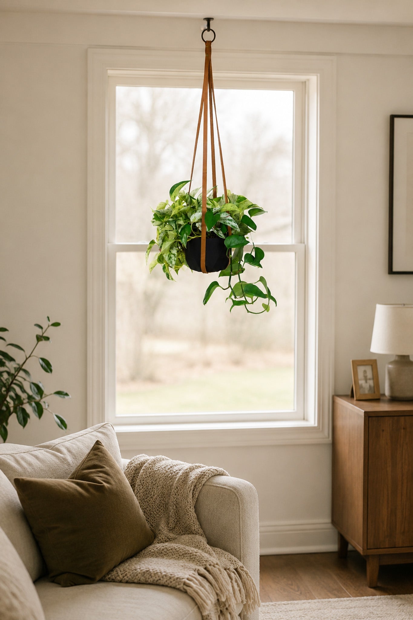 Leather Plant Hanger