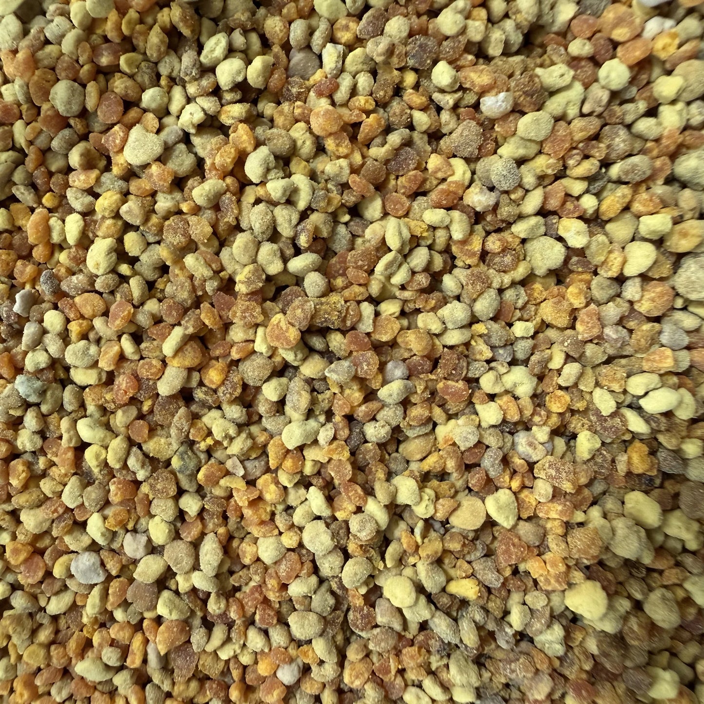 Bee Pollen For Sale