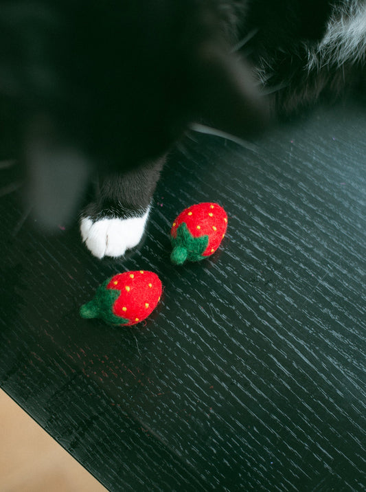 RED STRAWBERRY WOOL CAT TOY SET