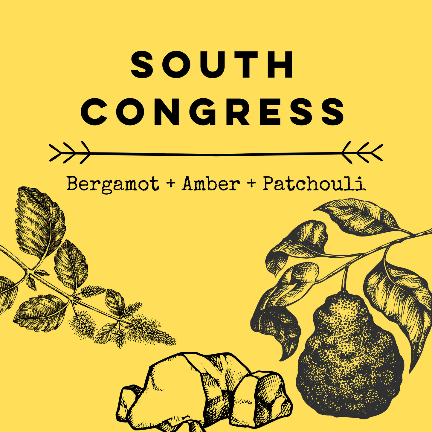 South Congress [Bergamot + Amber + Patchouli] Soy Candle