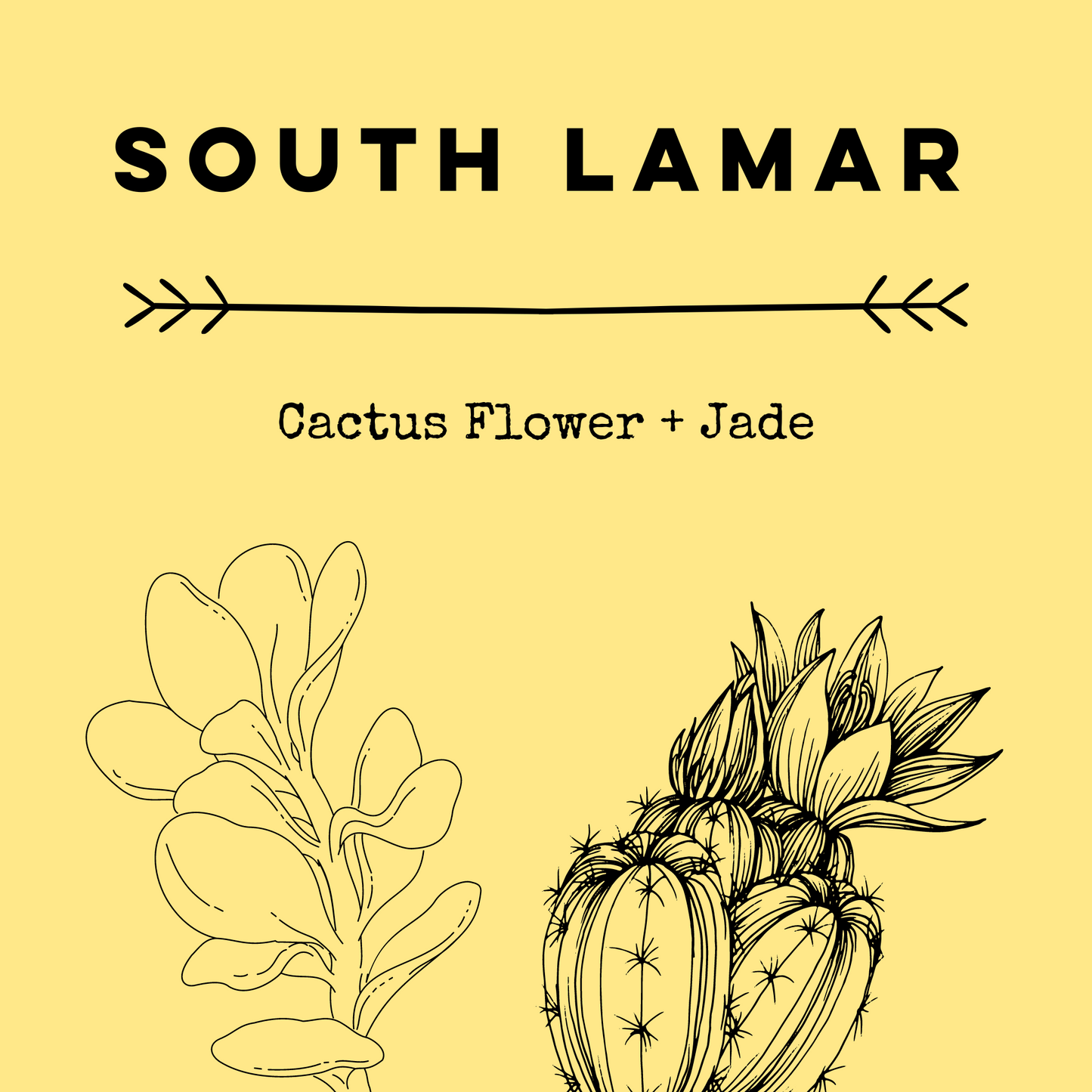 South Lamar [Cactus Flower + Jade] Soy Candle