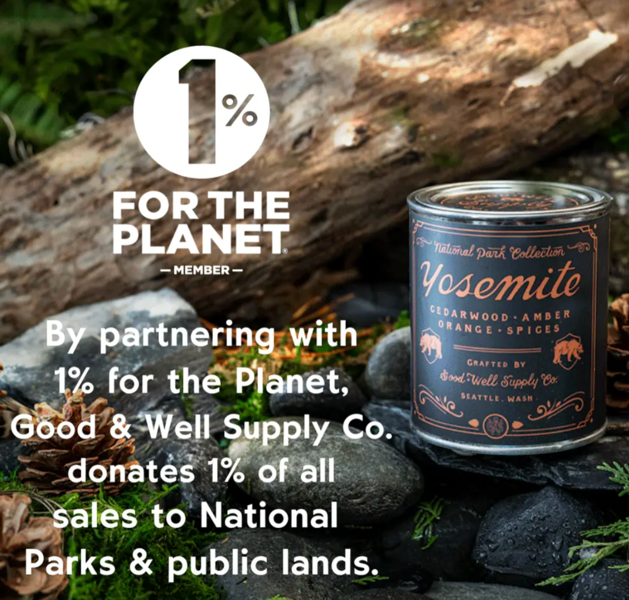 Petrified Forest National Park Candle